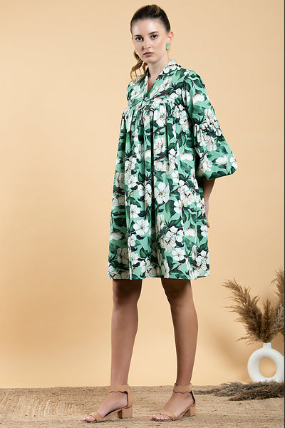 Wild Apple Shirt Dress